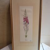 Série 4 Anciennes Planches Botaniques Fleurs GRANDALL + Cadre Bois Doré Vintage