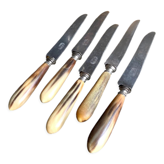 5 TD Paris horn and forged steel knives