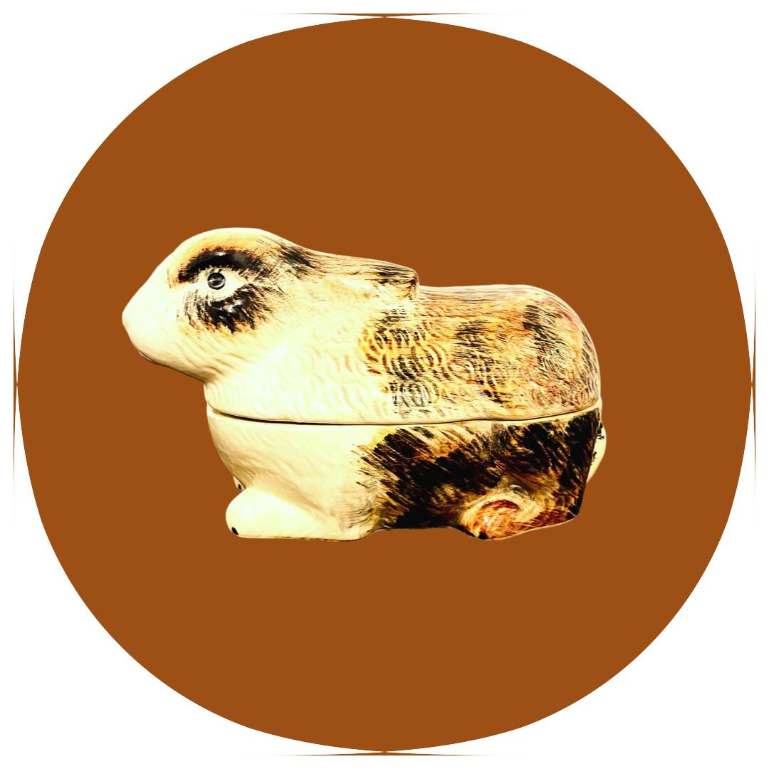 𝖳𝖾𝗋𝗋𝗂𝗇𝖾 𝗅𝖺𝗉𝗂𝗇 𝖼𝖾́𝗋𝖺𝗆𝗂𝗊𝗎𝖾 𝖼𝖺𝗎𝗀𝖺𝗇𝗍