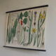 Botanical board numero XLVIII