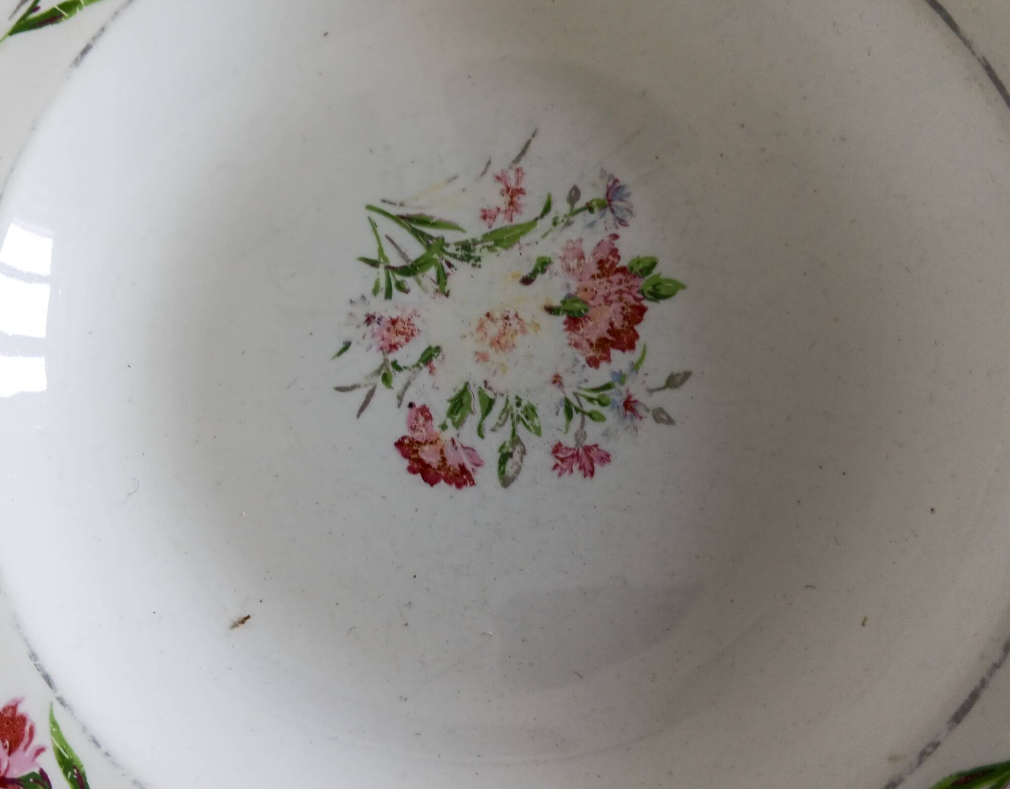 21 Digoin Sarreguemines porcelain soup plates, Nice model