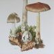Illustration botanique "champignons", années 60