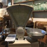 Berkel market gardener's scale