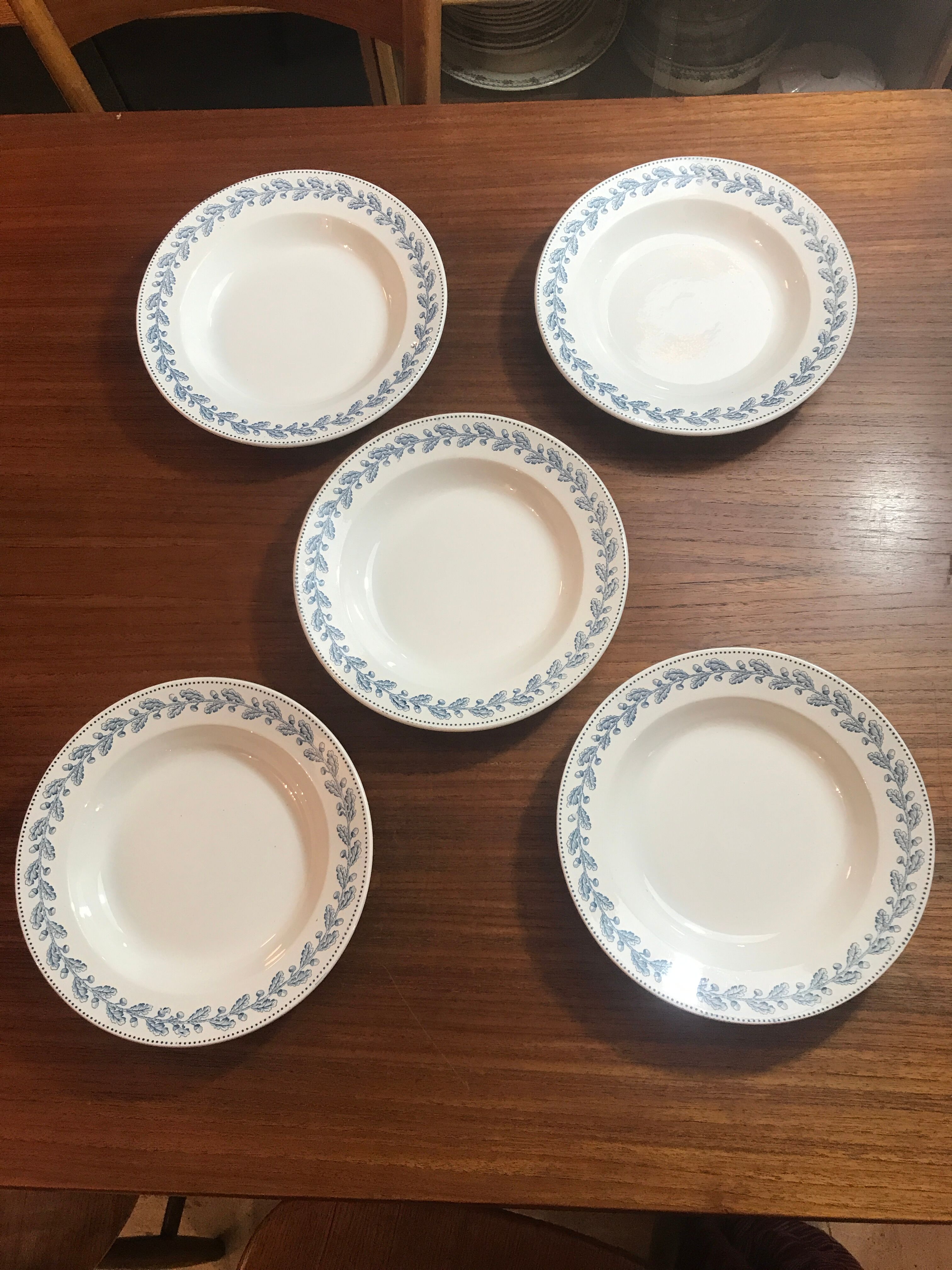 5 hollow plates Terre de Fer Sarreguemines early 20th century