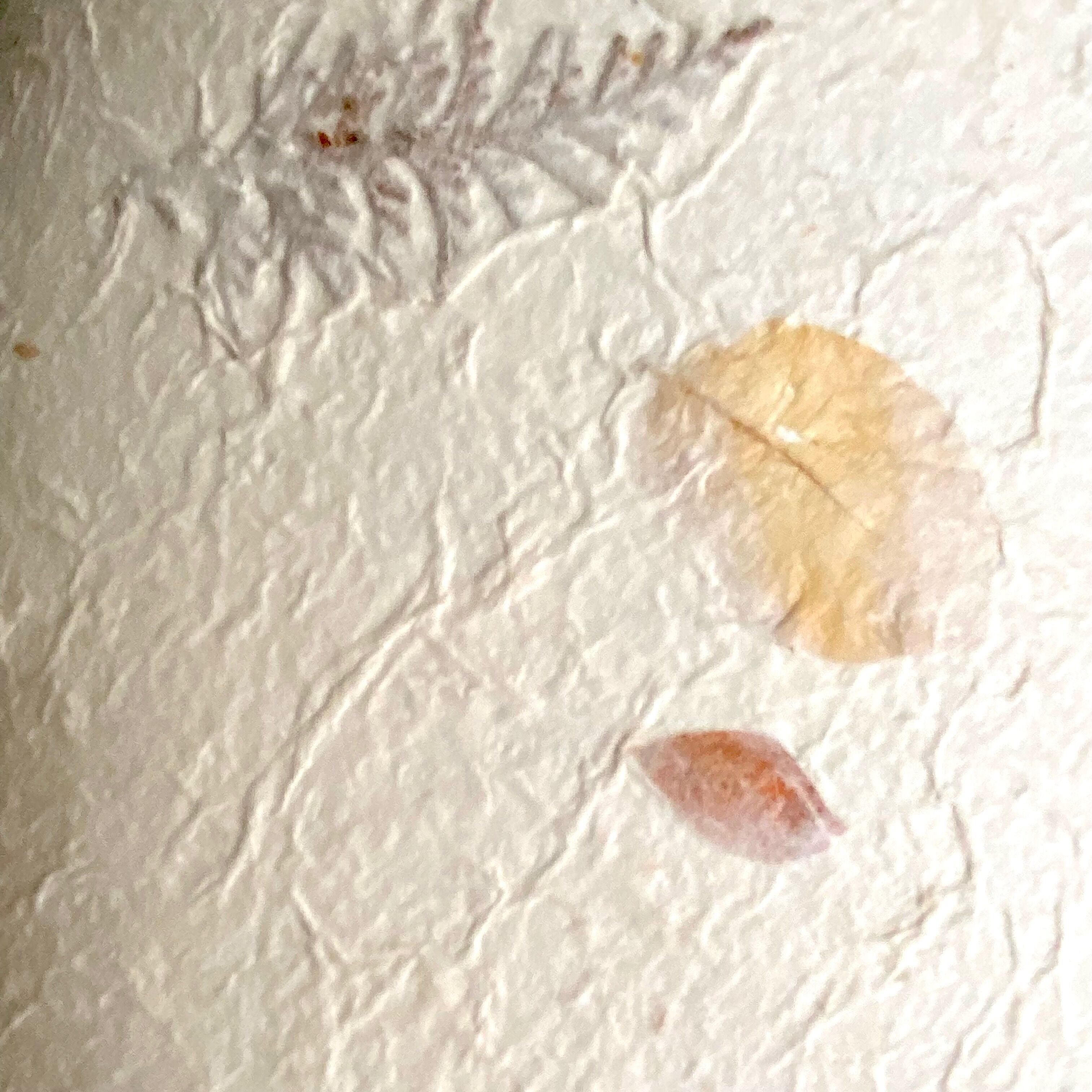 Suspension dried flowers, handmade paper