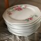 Porcelain plate service