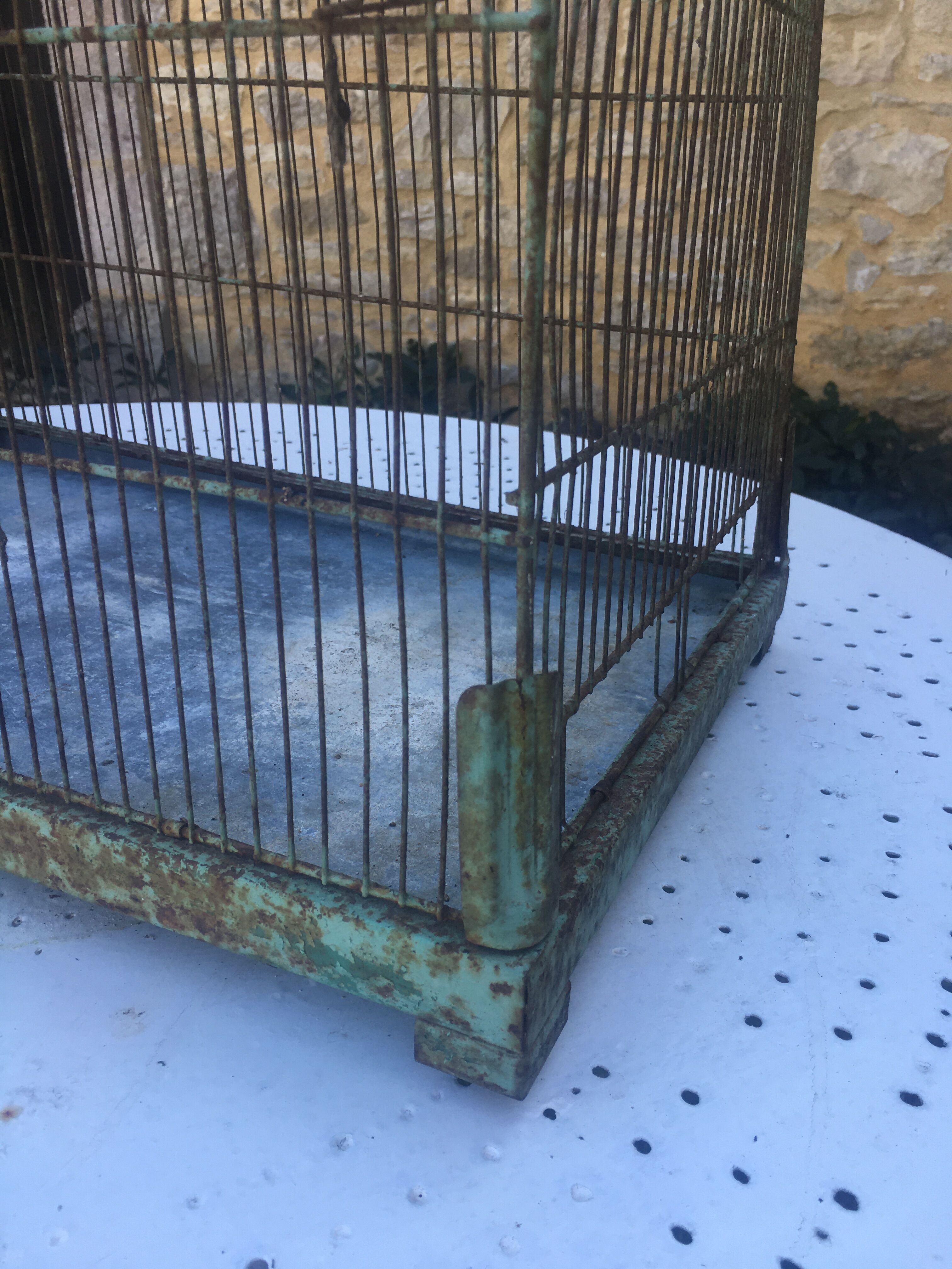 Metal bird cage