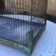 Metal bird cage