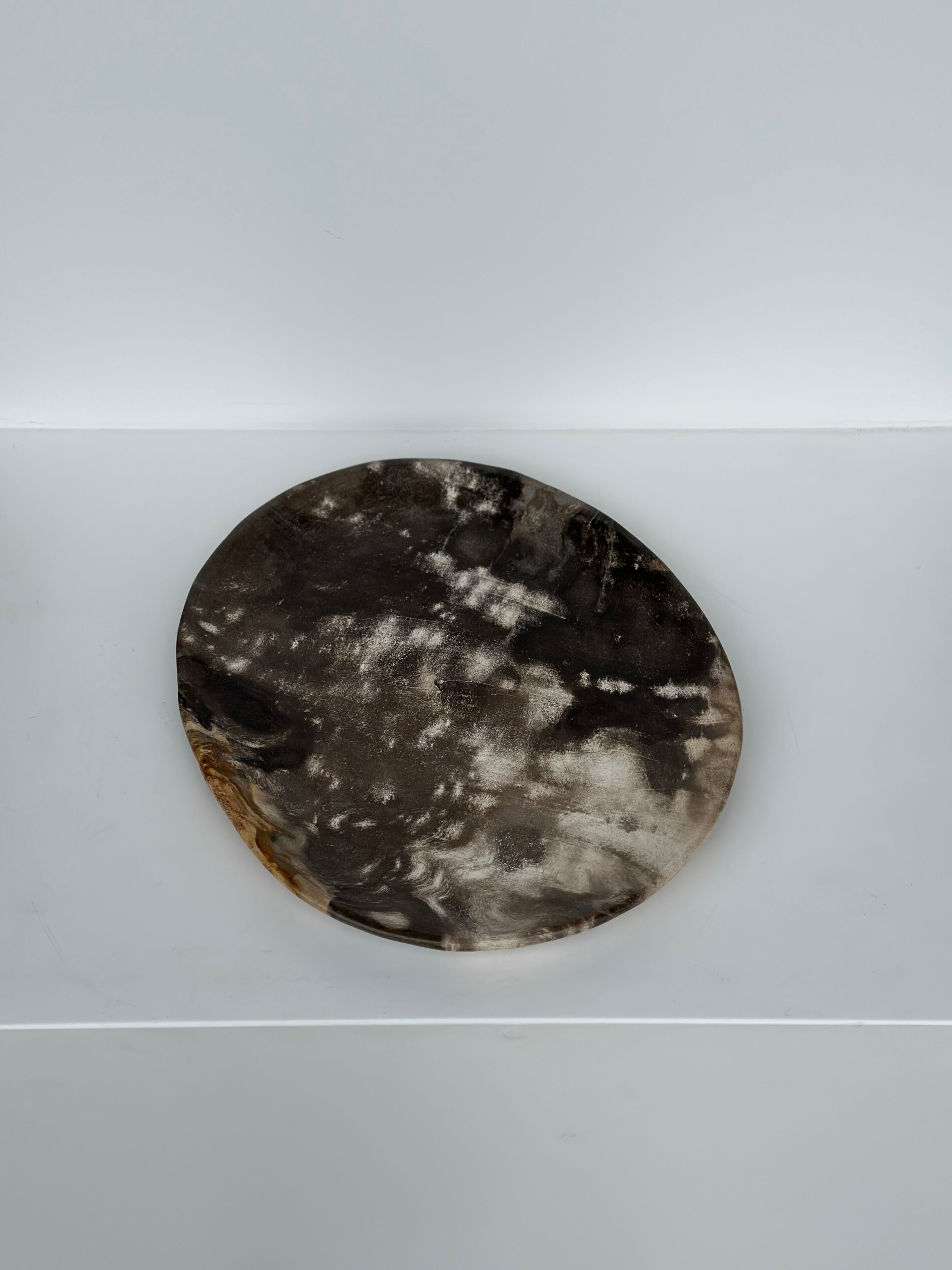 Dish in petrified wood