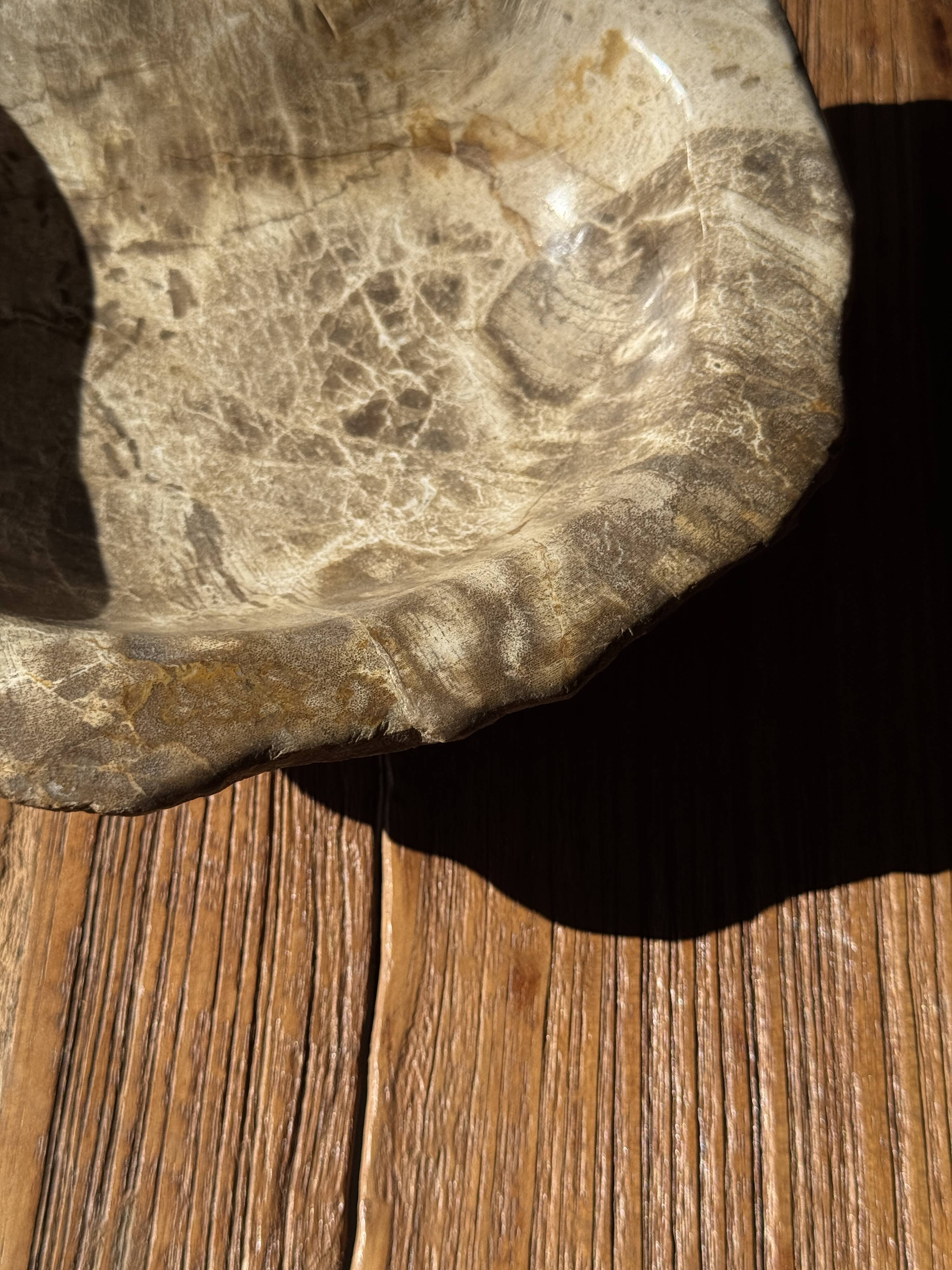 Oval beige petrified wood bowl 24x19 - 3781