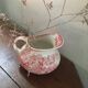 Toilet broc Jardinerie U-C Sarreguemines