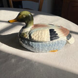 Cauging duck
