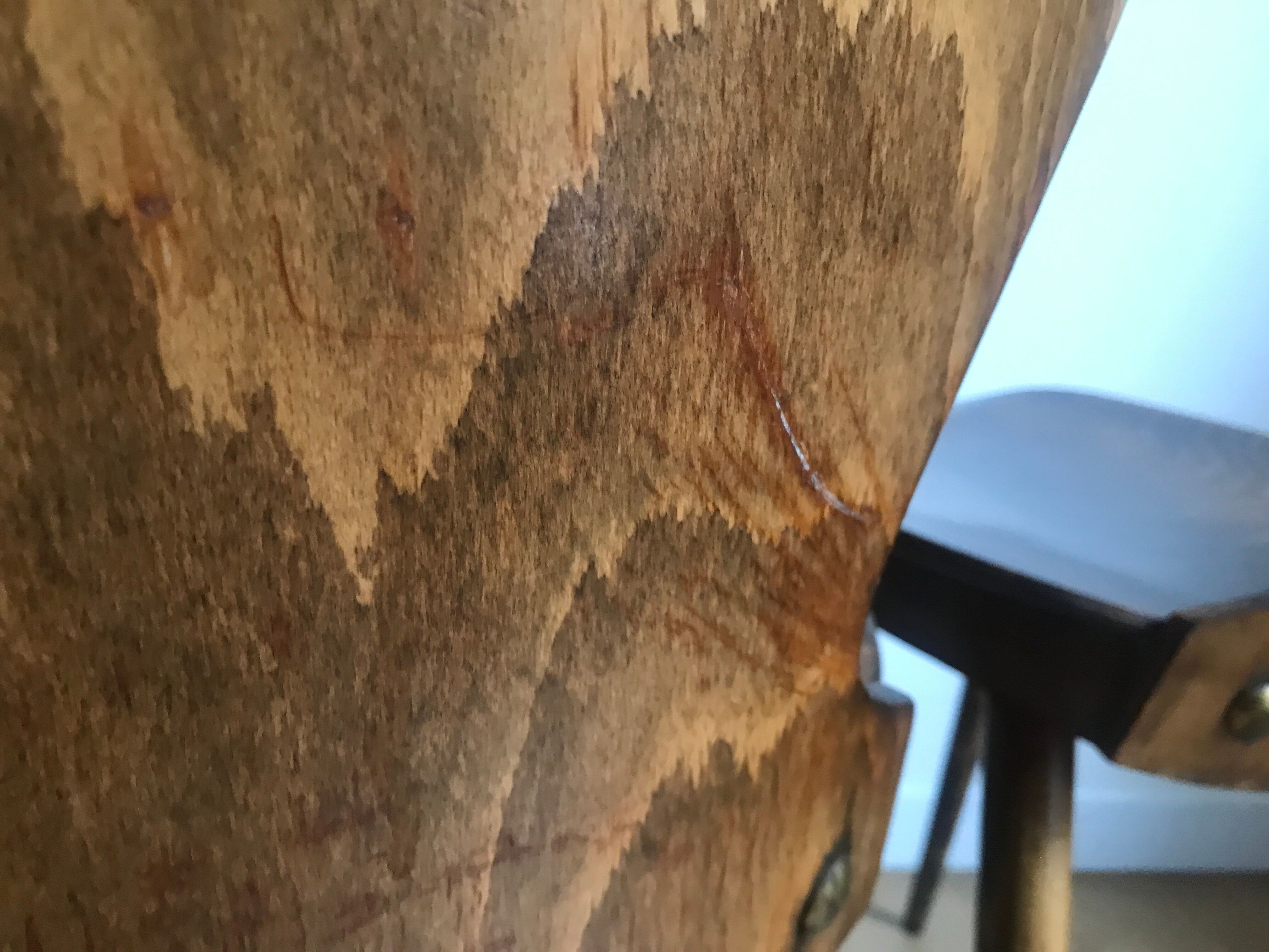 Pair of bistro chairs "rustic" model of baumann called "ant"