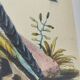 Old bird engraving - Swallow-tailed hawk - Zoological plate by Seligmann & Catesby