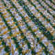 Tapis handira 400x175cm