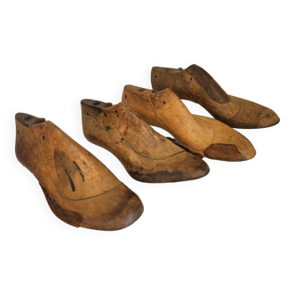 Old shoe trees