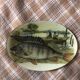 John Derian Company Collectible Plate