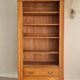 Art Nouveau bookcase hosiery cupboard