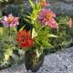 Sommerso Vase / Nils Landberg