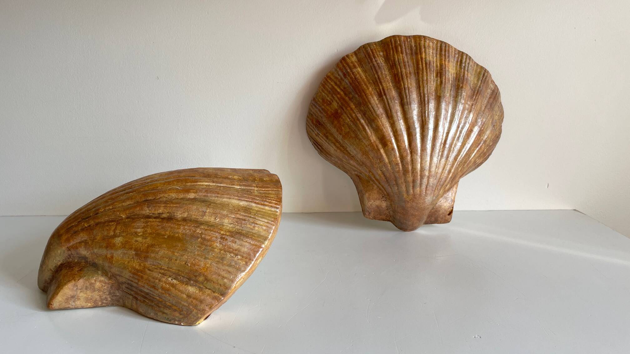 Shell wall enameled by aljezur