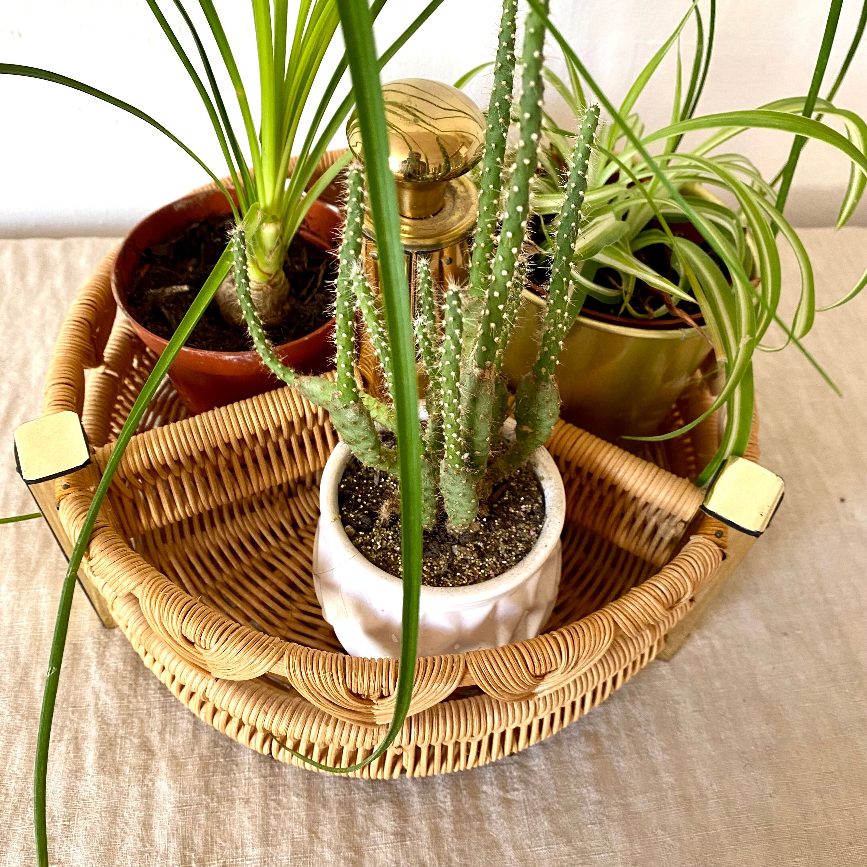 Porte bouteilles vintage , porte plantes en rotin tressé