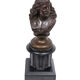Bronze bust jacob van campen, 1595 - 1675, sculptor jacques elion 1842-1893
