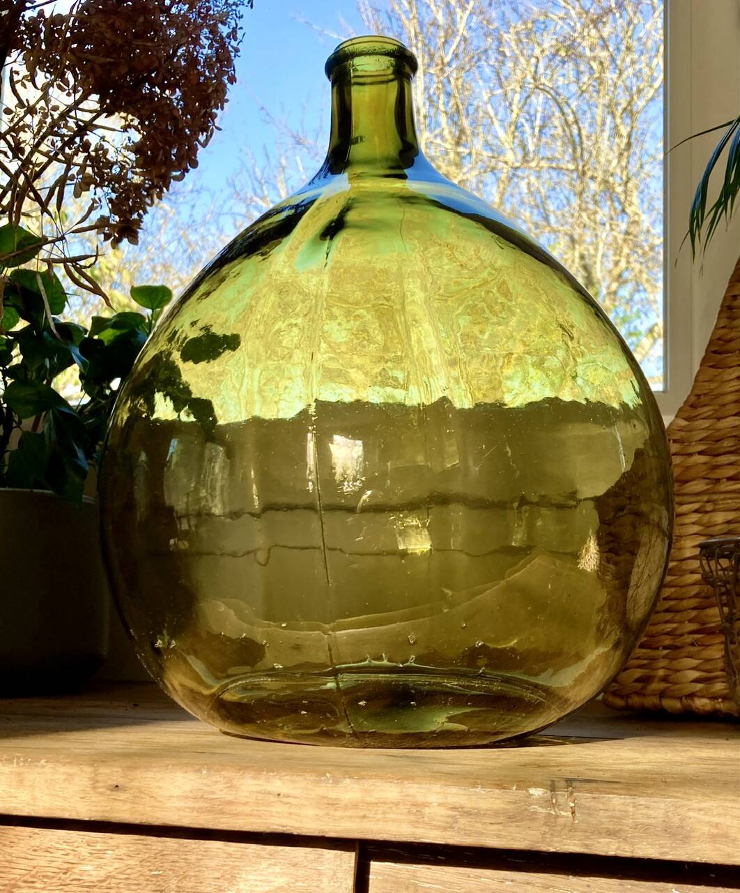 10L demijohn in a pretty olive green