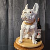 Bouledogue français en céramique manufacture de bavent 1900 france.