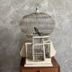 Antique birdcage