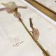 Lot de 6 planches herbier de 1950