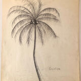 Drawing "Coconut tree"