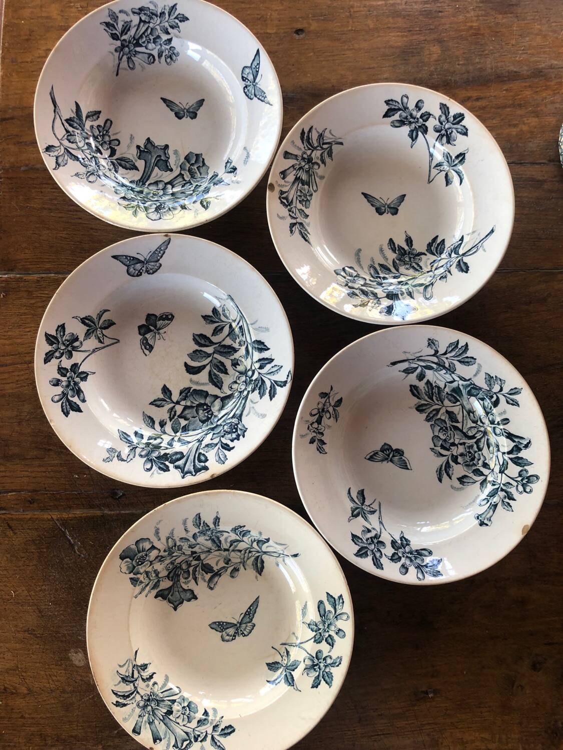 6 Badonviller soup plates Jasmin model