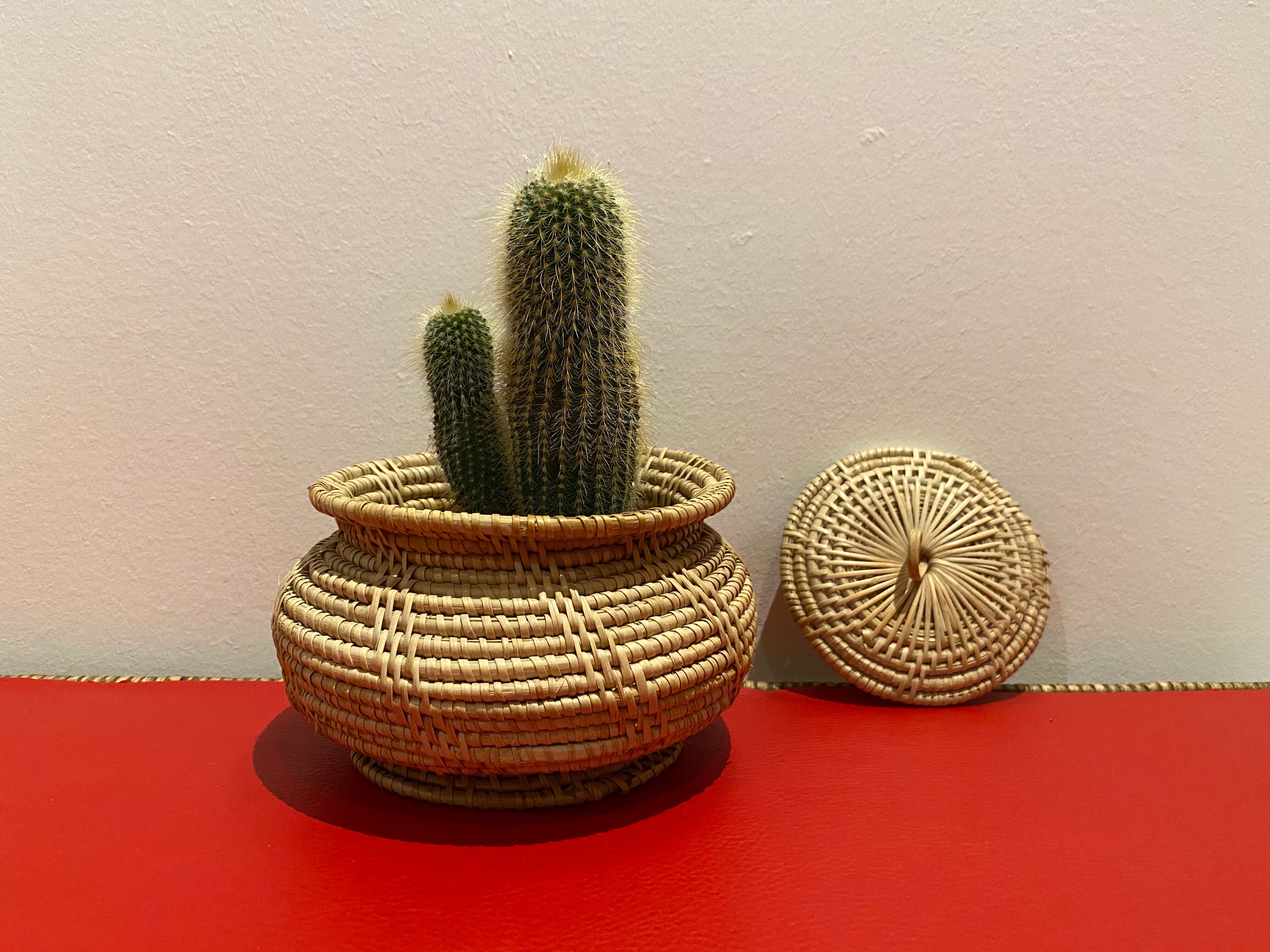 Vintage basket in braided rattan