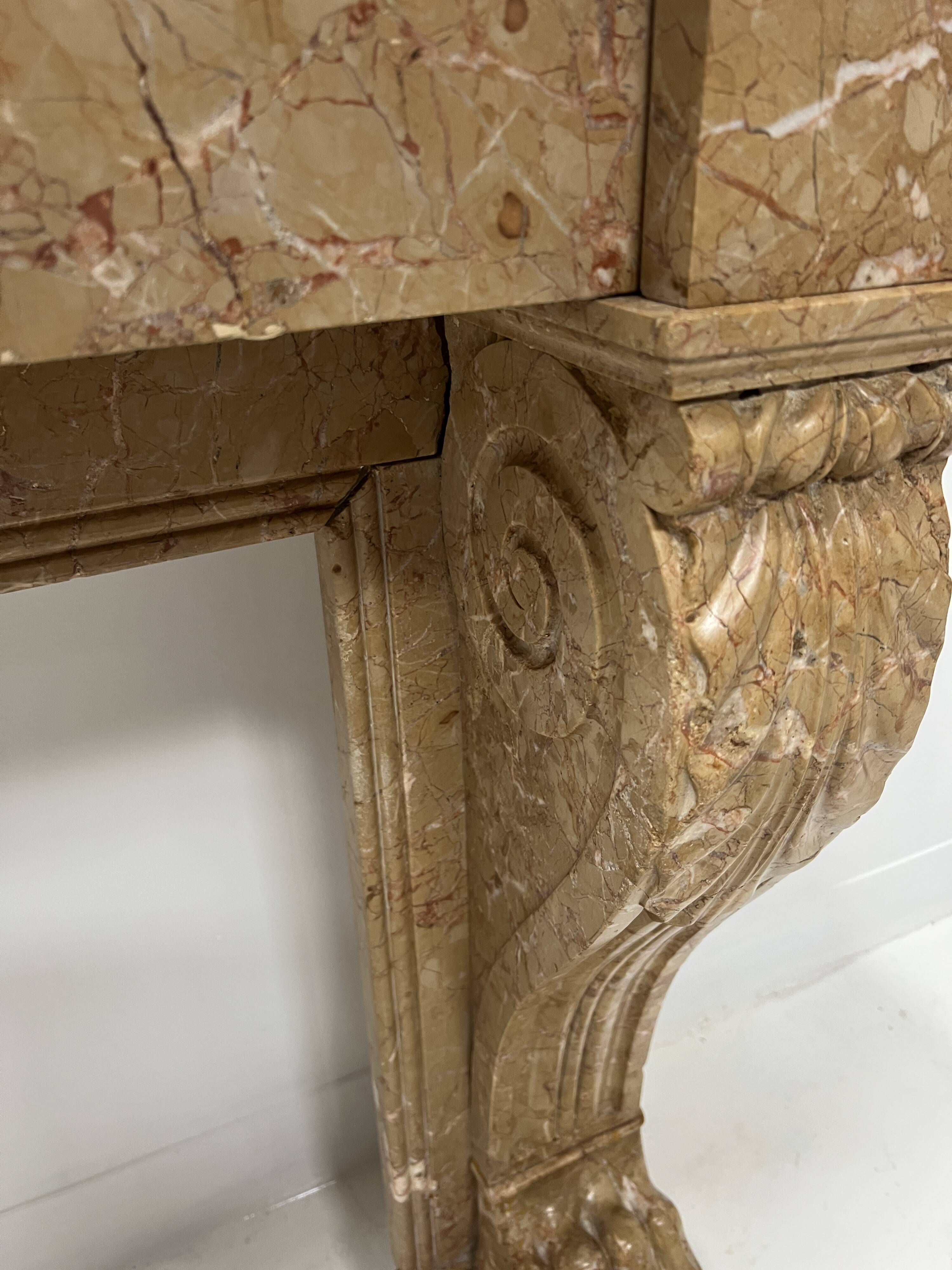 Napoleon III fireplace with claw feet in speckled marble, 19th century.