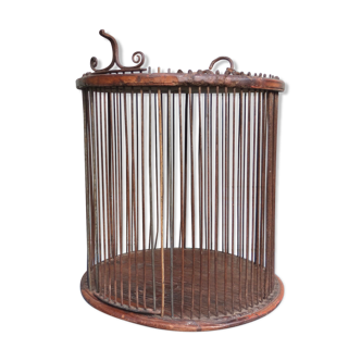 Antique Birdcage, India