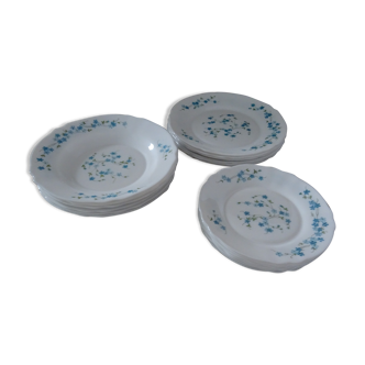 18 Plates Flat Desserts Hollow VERONICA BLUE FLOWERS Arcopal forget-me-not Lot EJ
