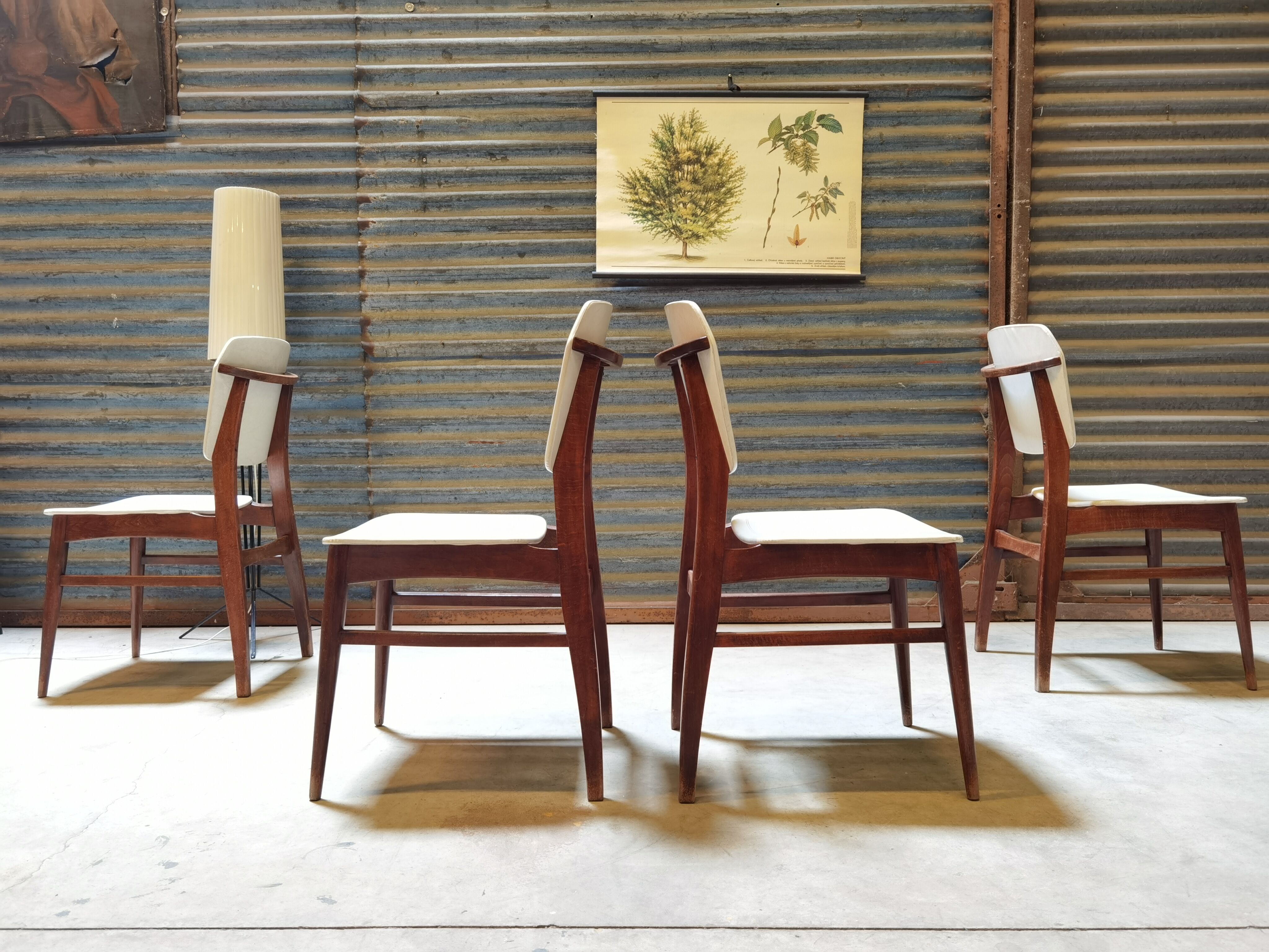 Lot de 4 chaises allemande Kondor Möbelwerk 1960