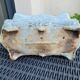 Cast iron planter