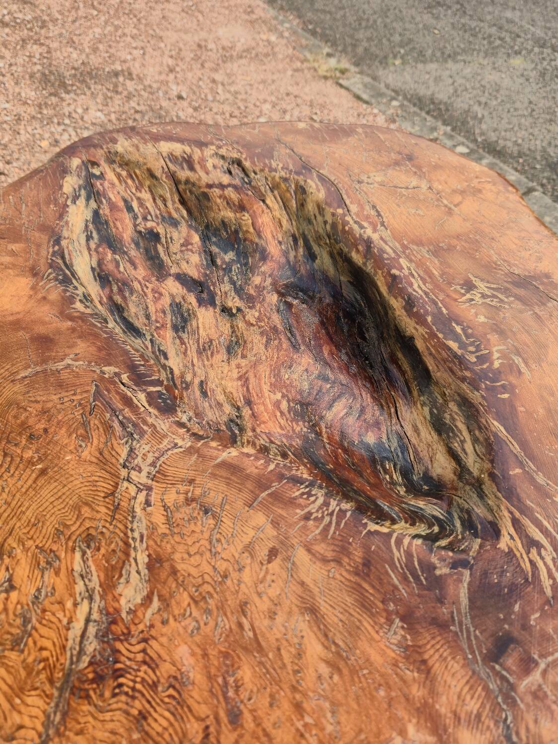 Brutalist coffee table made from solid elm tree trunk, 1950s
