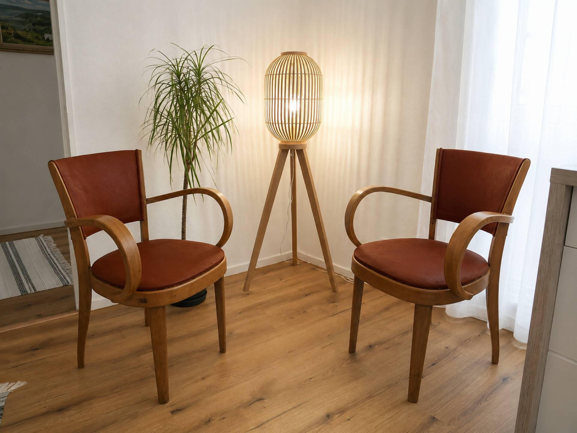 Pair of Fischel armchairs in bent wood