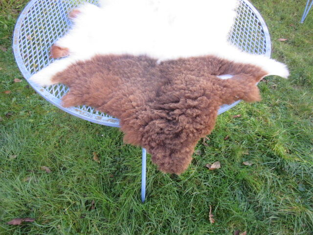 Sheepskin