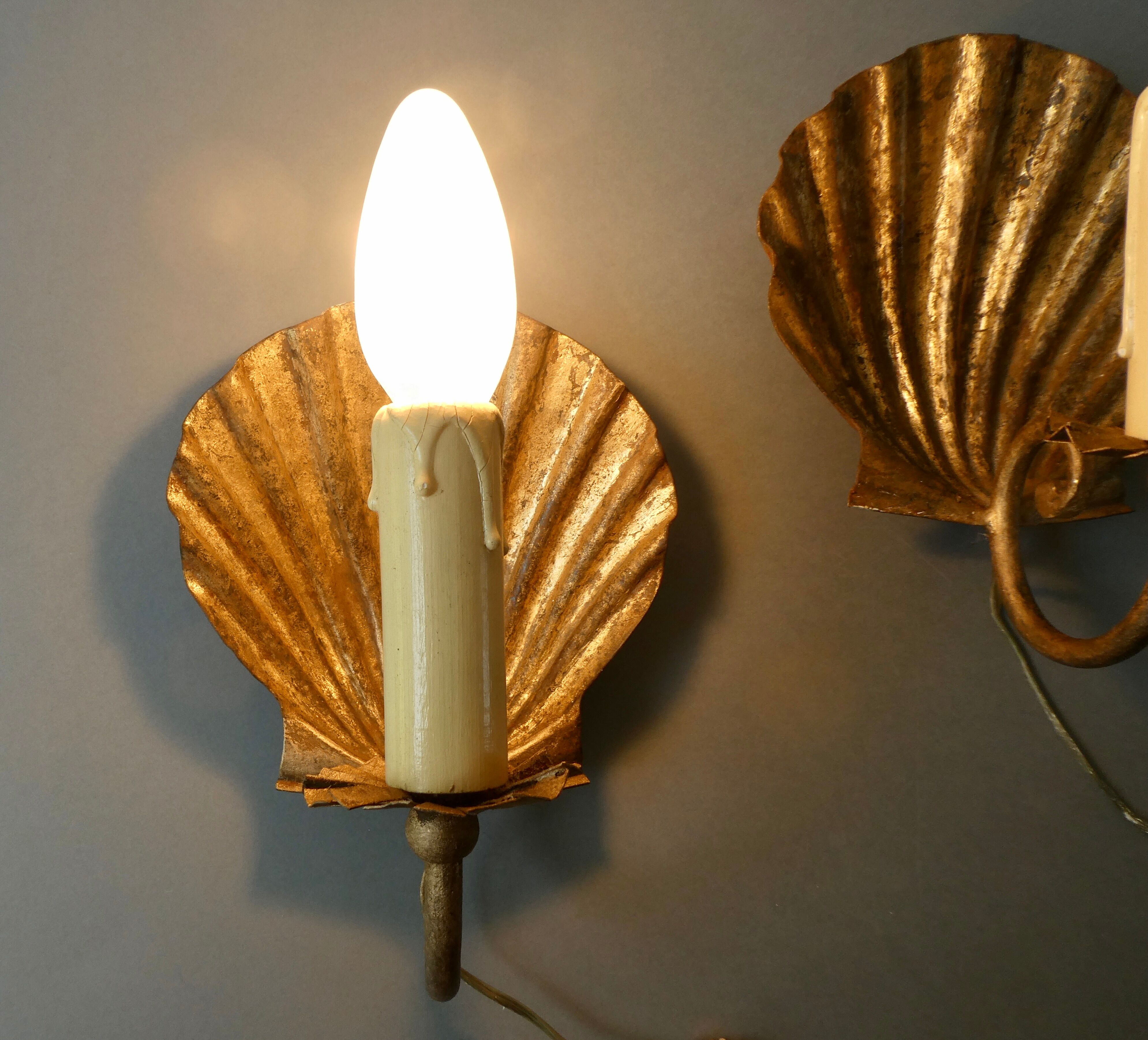 Pair of golden metal shell sconces