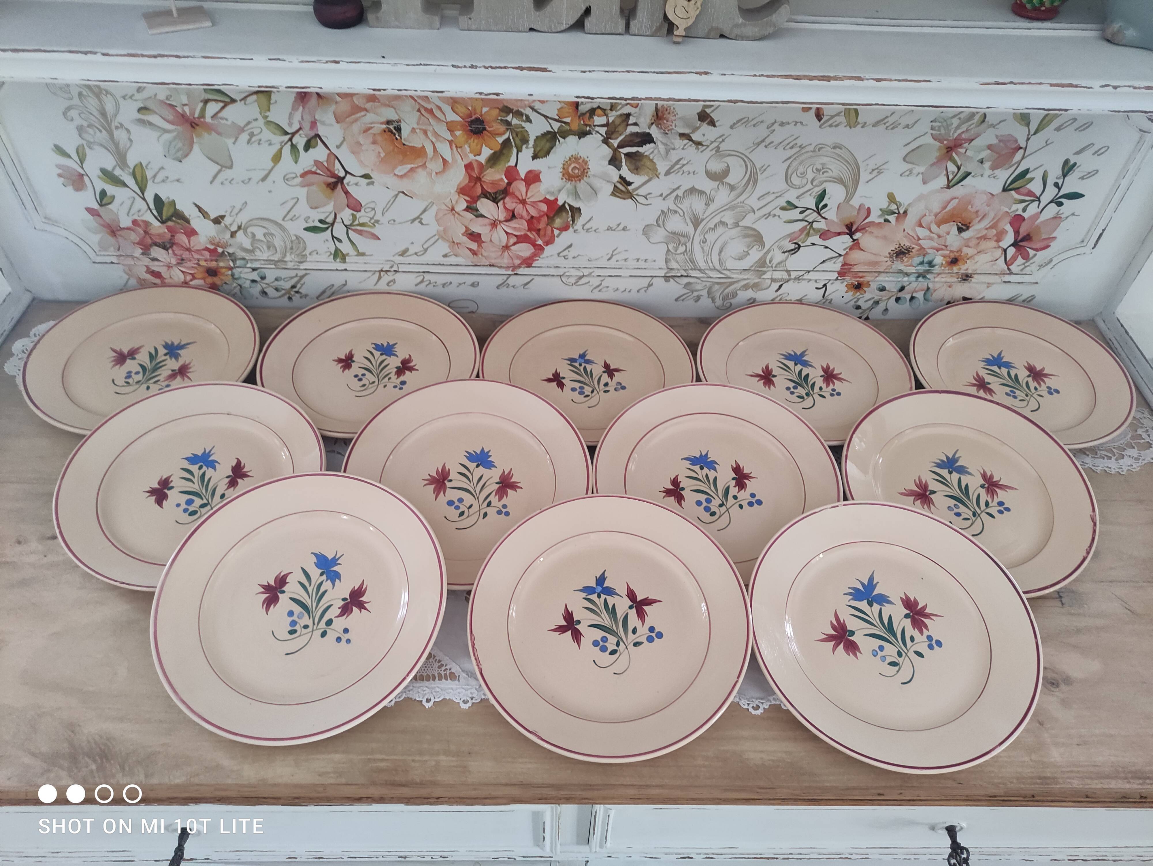 Set of 12 flat plates 30s earthenware K&G Lunéville model Denise