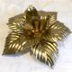 Pair of flower sconces
