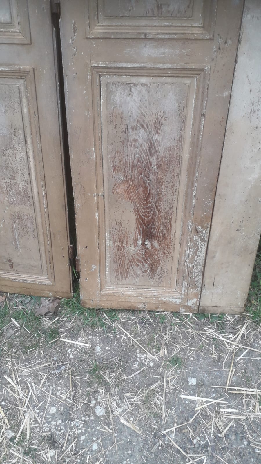 2 old doors 1800