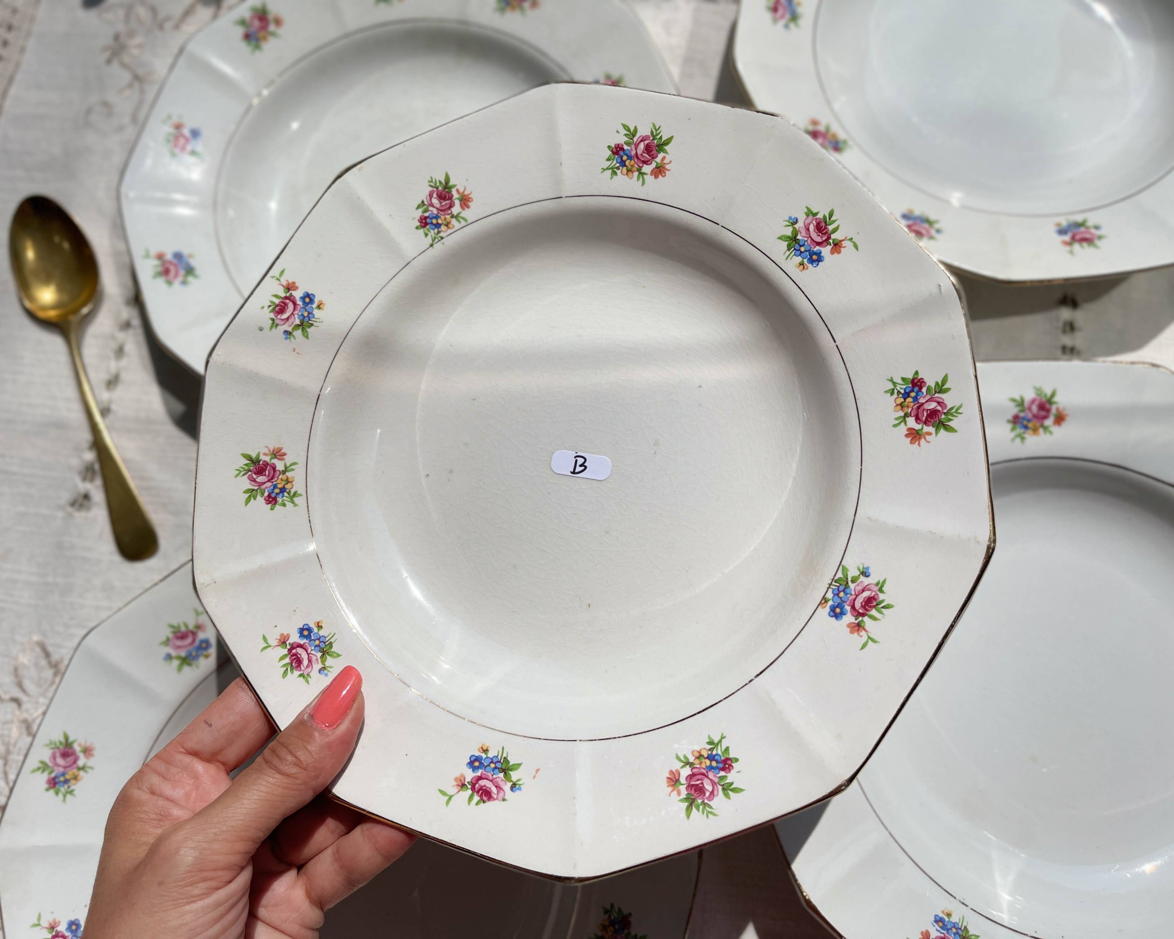 5 vintage hollow plates in opaque porcelain SALINS floral pattern