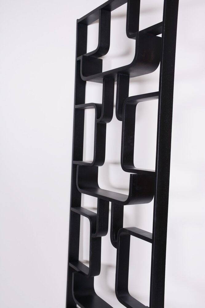 Mid-Century Room Divider Wall Unit by Ludvik Volak for Drevopodnik Holesov, 1960s