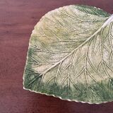 Cabbage leaf dish with slushie