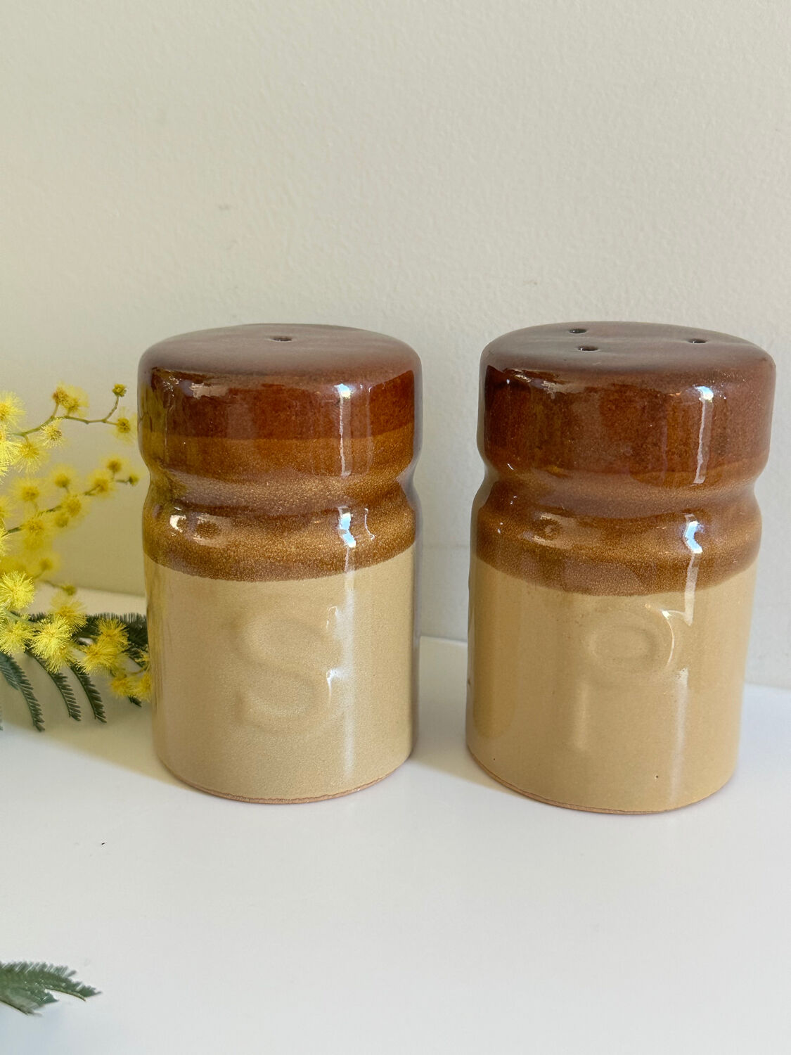 Ceramic salt and pepper duo