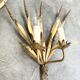 Pair of "Wheat Sheaf" Wall Lights